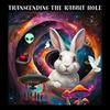 Transcending the Rabbit Hole Podcast