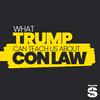 What Trump Can Teach Us About Con Law