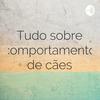 Tudo sobre comportamento de cães