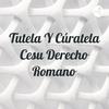 Tutela Y Cúratela Cesu Derecho Romano