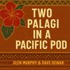 Two Palagi in a Pisinisi Pod