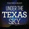 Under the Texas Sky