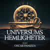 Universums Hemligheter
