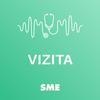 Vizita
