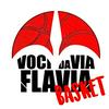 Voci da Via Flavia - Basket