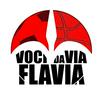 Voci Da Via Flavia
