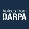 Voices from DARPA
