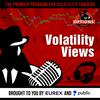 Volatility Views