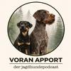 VORAN APPORT