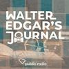 Walter Edgar's Journal