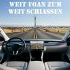 weit foan zum weit schiassn
