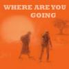 WHERE ARE YOU GOING with Ajahn Sucitto & Nick Scott