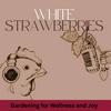 White Strawberries: Gardening for Wellness & Joy