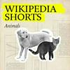 Wikipedia Shorts: Animals