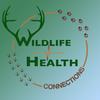 Wildlife Health Connections