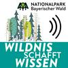 Wildnis schafft Wissen