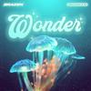 Wonder