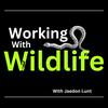 Working With Wildlife