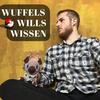 Wuffels Wills Wissen - Der Pokemon Quiz Podcast