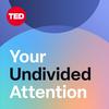 Your Undivided Attention