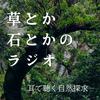 草とか石とかのラジオ　〜耳で聴く自然探求〜