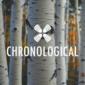 1 Year Daily Audio Bible Chronological