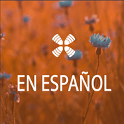 1 Year Daily Audio Bible En Español