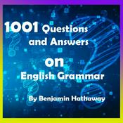 1001 Questions and Answers on English Grammar - Free Audiobook