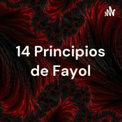 14 Principios de Fayol - Edgar Núñez