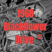 1968 Blackflower Drive