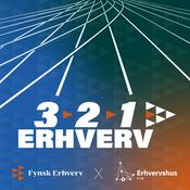3-2-1 Erhverv