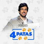 4 Patas