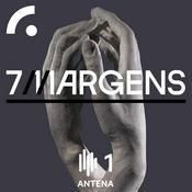 7 Margens