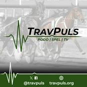 TravPuls
