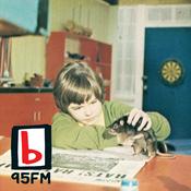 95bFM: Psychic Glands