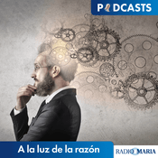 A la luz de la razón