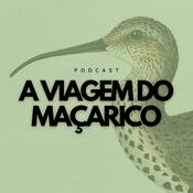 A Viagem do Maçarico