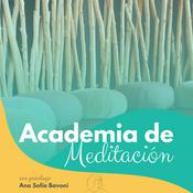 Academia de Meditación Mindfulness