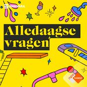 Alledaagse Vragen
