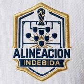 Alineación Indebida