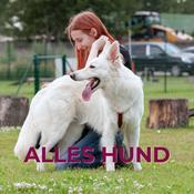 Alles Hund