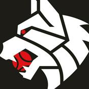 Alpha Padel Podcast