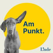 Am Punkt - Steuern. Wirtschaft. Recht. Zum Hören.