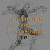 Anatomía By FisioShark