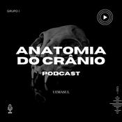 Anatomia Descomplicada