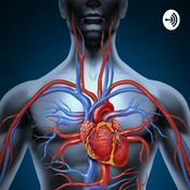 Anatomia Por Partes