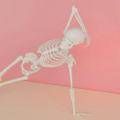 Anatomie onderweg 
Dé podcast voor studenten verpleegkunde en vroedkunde.