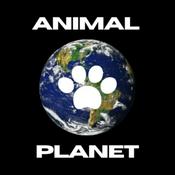 Animal Planet
