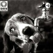 Animales