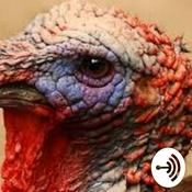 ARETE and You, a Fun & Enlightening podcast Series